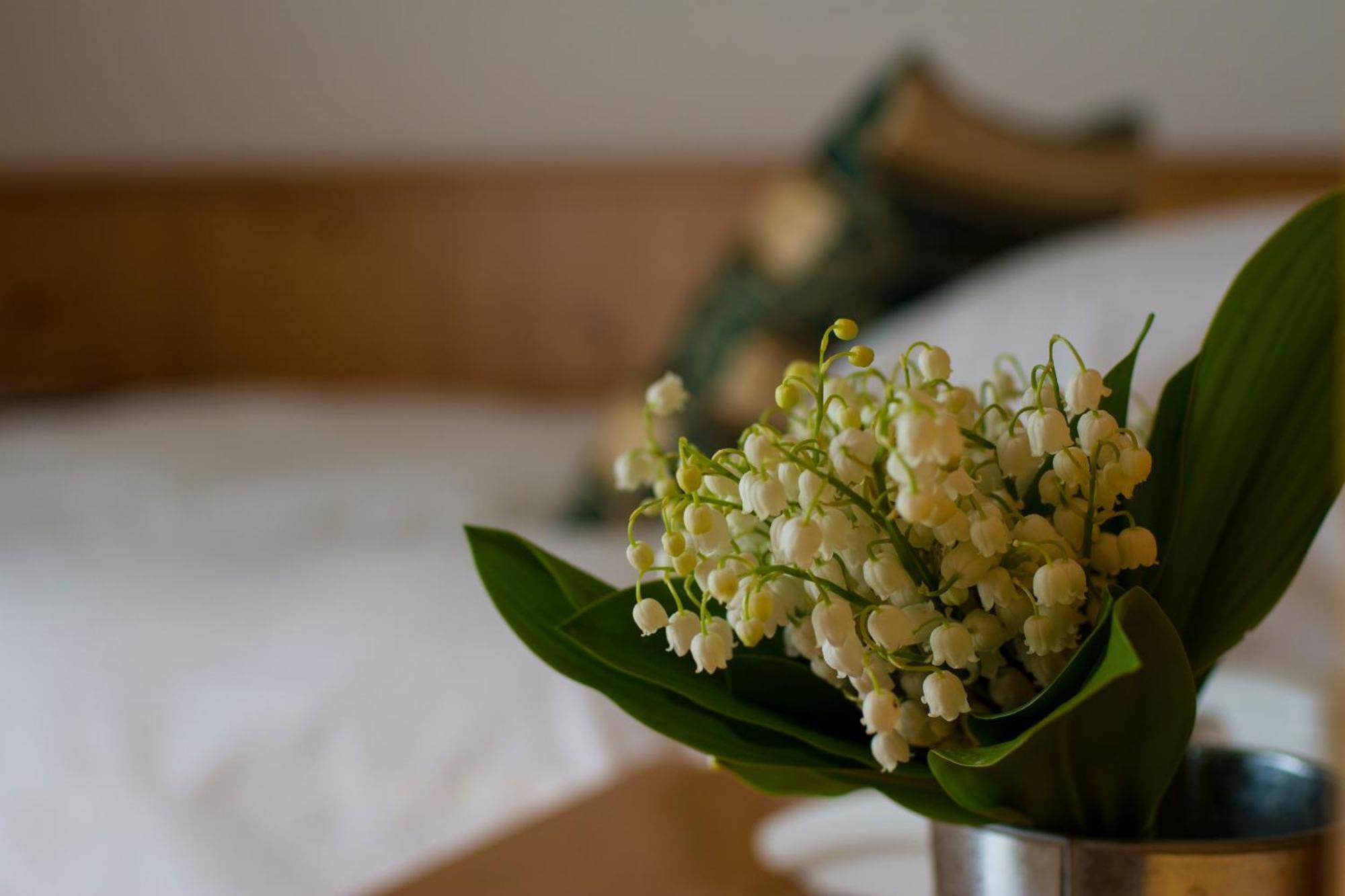 Hotel Chalet All'Imperatore Madonna Rum bild